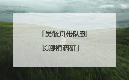 吴毓舟带队到长卿镇调研